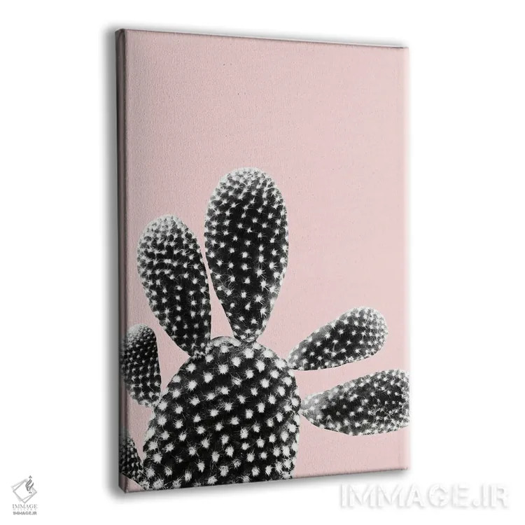 تابلو رویای کاکتوس مشکی و رنگ گونه I اثر هنر آنیتا و بلا - نمای پرسپکتیو محصول
