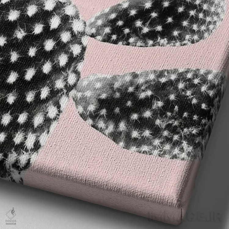 تابلو رویای کاکتوس مشکی و رنگ گونه I اثر هنر آنیتا و بلا - نمای نزدیک بافت بوم