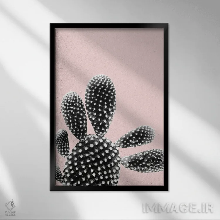 تابلو رویای کاکتوس مشکی و رنگ گونه I اثر هنر آنیتا و بلا - نمای قابدار مشکی