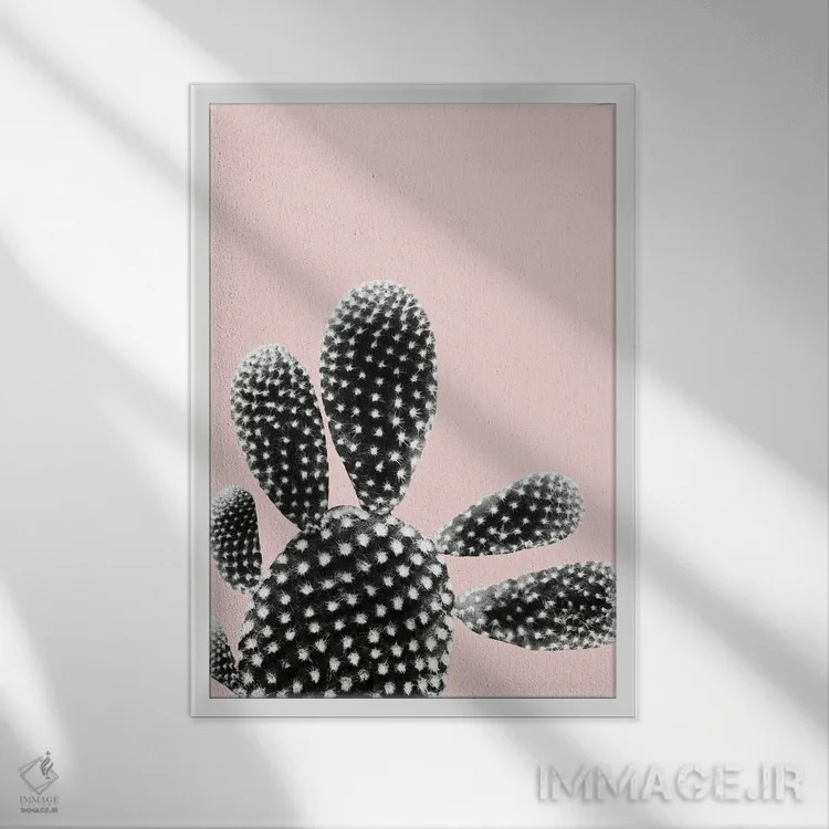 تابلو رویای کاکتوس مشکی و رنگ گونه I اثر هنر آنیتا و بلا - نمای قابدار سفید