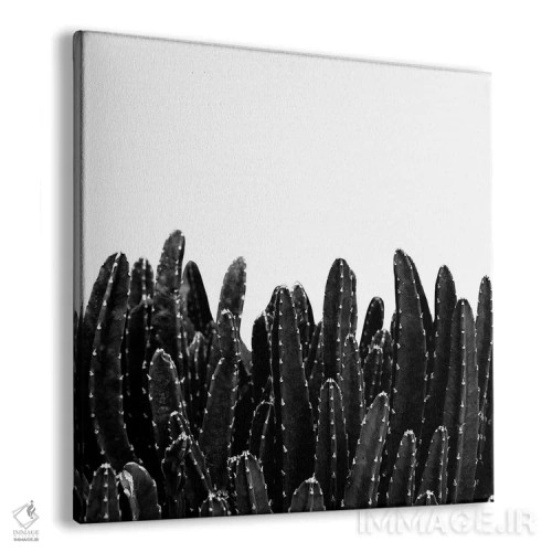 تابلو رویای کاکتوسهای سیاه I اثر هنر آنیتا و بلا - نمای پرسپکتیو محصول