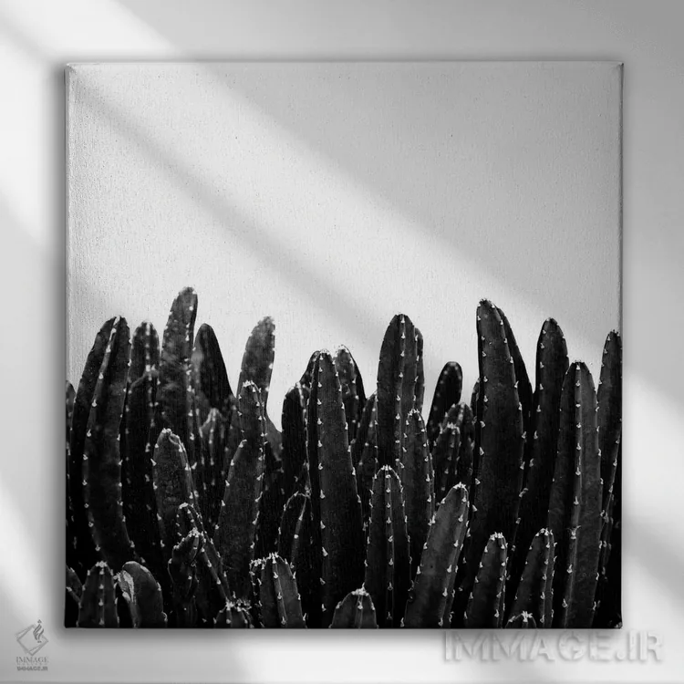 تابلو رویای کاکتوسهای سیاه I اثر هنر آنیتا و بلا - نمای روبهرو روی دیوار