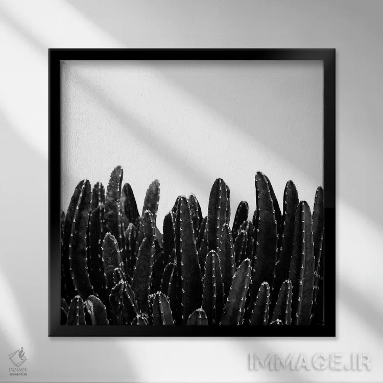 تابلو رویای کاکتوسهای سیاه I اثر هنر آنیتا و بلا - نمای قابدار مشکی