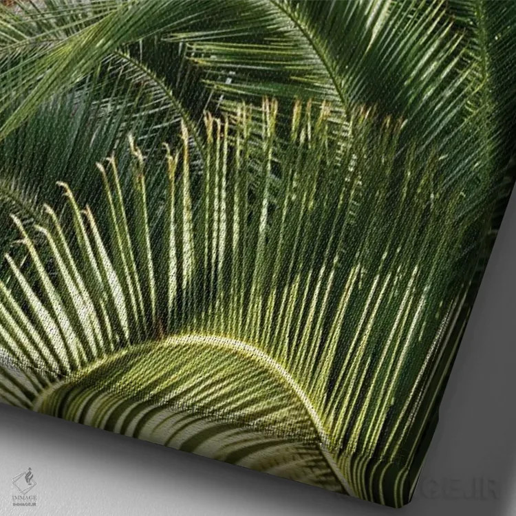 تابلو کلوسئوم رم همراه با نخل دوم اثر هنر آنیتا و بلا - نمای نزدیک بافت بوم