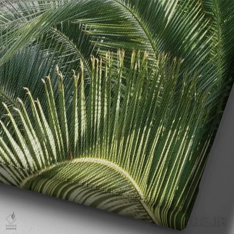 تابلو کلوسئوم رم همراه با نخل یک اثر هنر آنیتا و بلا - نمای نزدیک بافت بوم