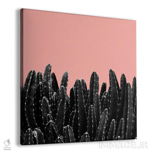 تابلو رویای کاکتوسهای سیاه دوم اثر هنر آنیتا و بلا - نمای پرسپکتیو محصول