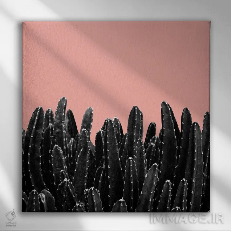 تابلو رویای کاکتوسهای سیاه دوم اثر هنر آنیتا و بلا - نمای روبهرو روی دیوار