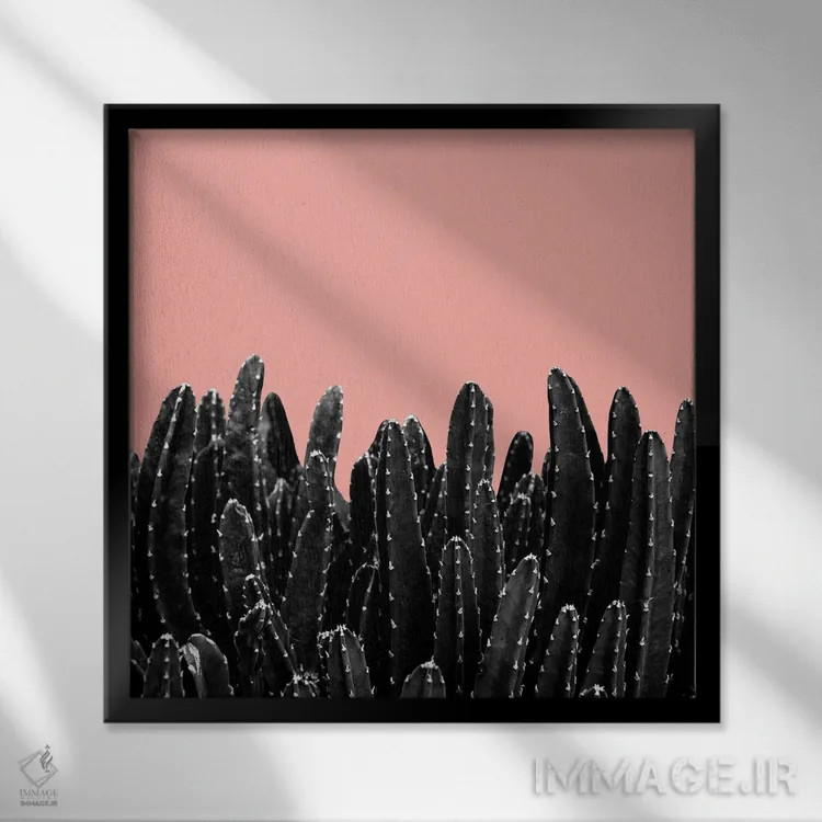 تابلو رویای کاکتوسهای سیاه دوم اثر هنر آنیتا و بلا - نمای قابدار مشکی