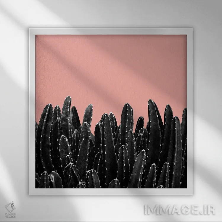 تابلو رویای کاکتوسهای سیاه دوم اثر هنر آنیتا و بلا - نمای قابدار سفید