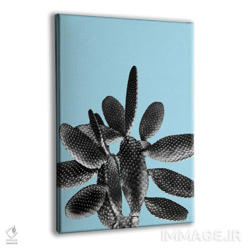 تابلو کاکتوس سیاه و آبی روشن یک اثر هنر آنیتا و بلا - نمای پرسپکتیو محصول