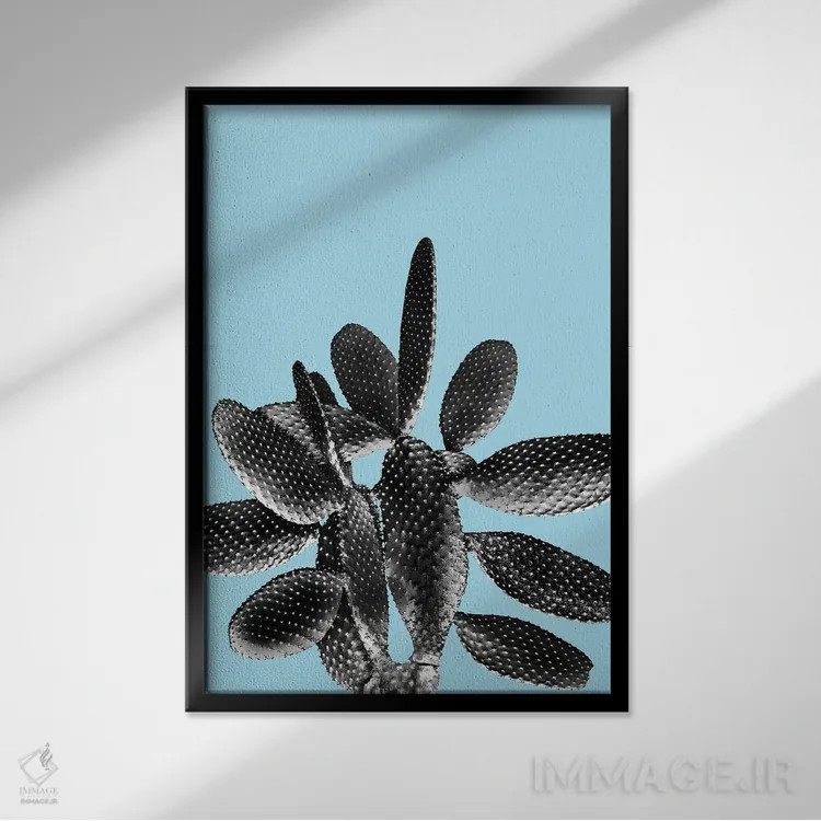تابلو کاکتوس سیاه و آبی روشن یک اثر هنر آنیتا و بلا - نمای قابدار مشکی
