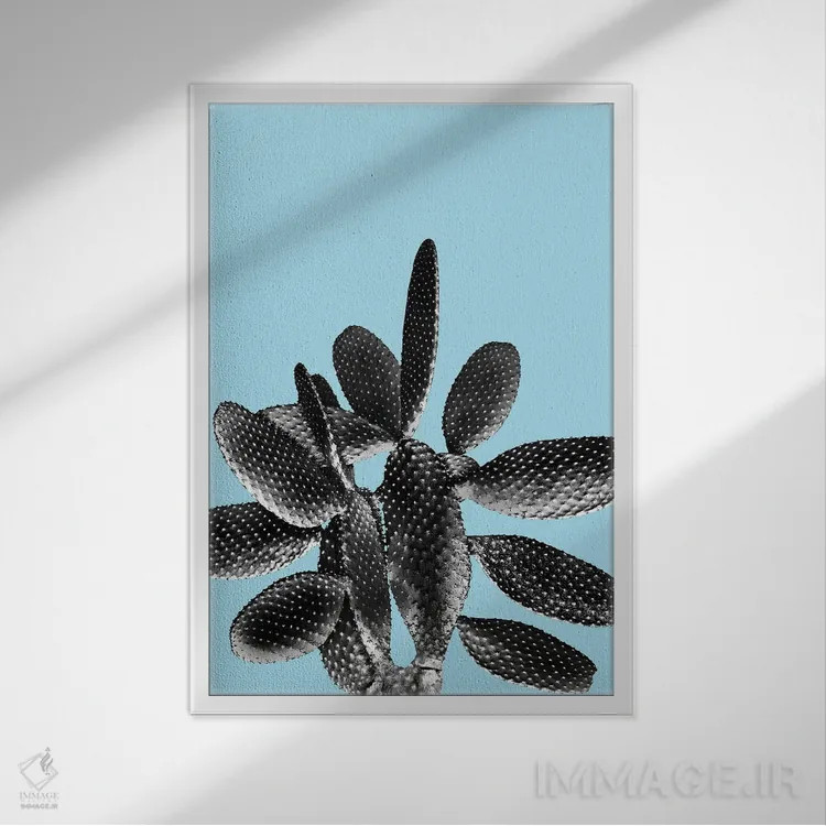 تابلو کاکتوس سیاه و آبی روشن یک اثر هنر آنیتا و بلا - نمای قابدار سفید