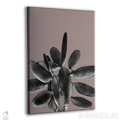 تابلو کاکتوس سیاه و ارغوانی یک اثر هنر آنیتا و بلا - نمای پرسپکتیو محصول