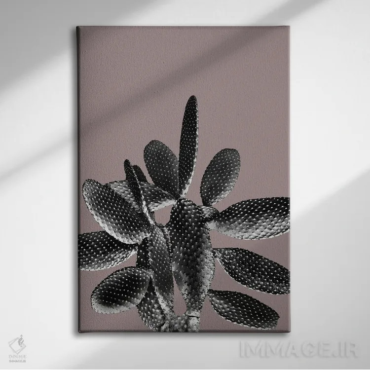 تابلو کاکتوس سیاه و ارغوانی یک اثر هنر آنیتا و بلا - نمای روبهرو روی دیوار