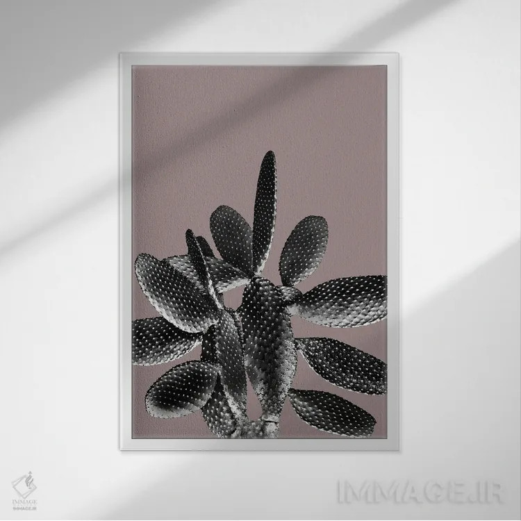 تابلو کاکتوس سیاه و ارغوانی یک اثر هنر آنیتا و بلا - نمای قابدار سفید
