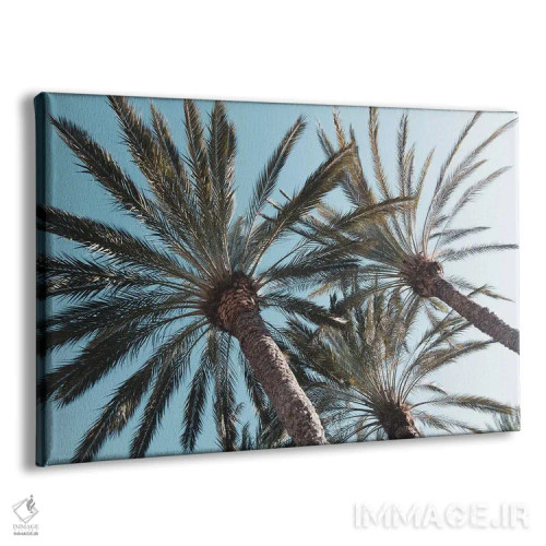 تابلو آرامش نخلها اثر هنر آنیتا و بلا - نمای پرسپکتیو محصول