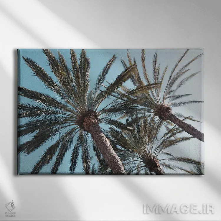 تابلو آرامش نخلها اثر هنر آنیتا و بلا - نمای روبهرو روی دیوار
