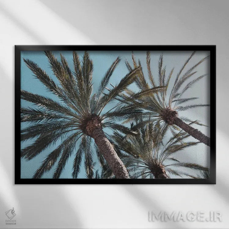 تابلو آرامش نخلها اثر هنر آنیتا و بلا - نمای قابدار مشکی