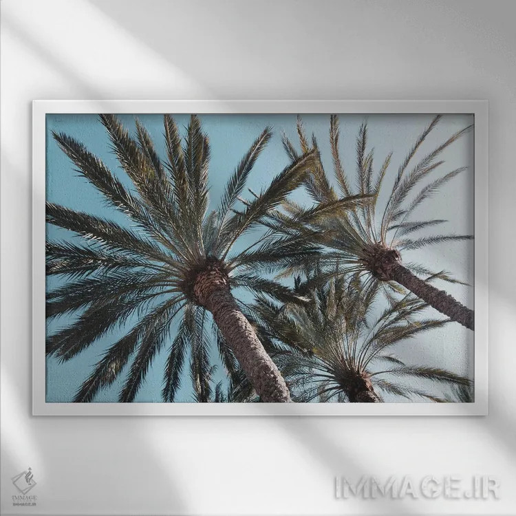 تابلو آرامش نخلها اثر هنر آنیتا و بلا - نمای قابدار سفید