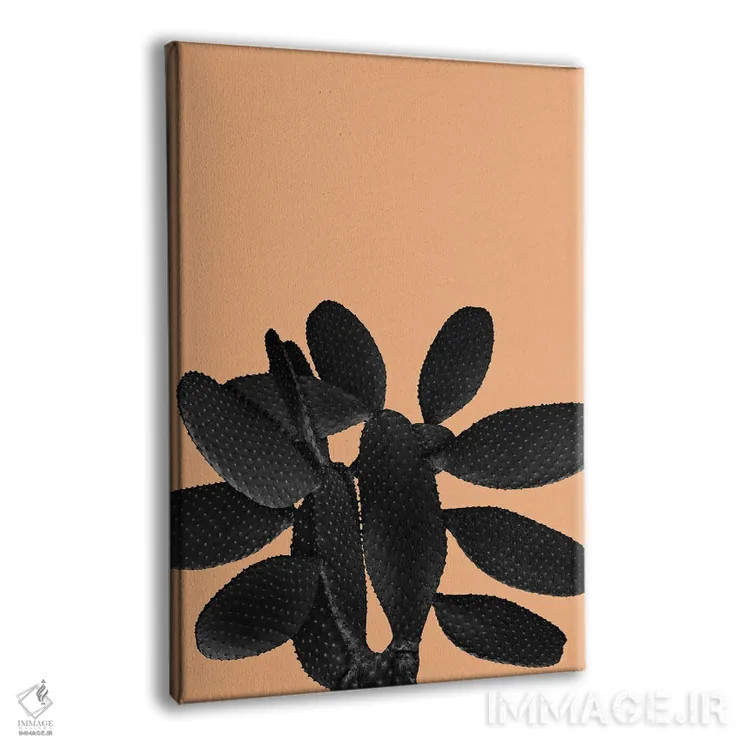 تابلو حال و هوای کاکتوس سیاه و نارنجی پاستلی یک اثر هنر آنیتا و بلا - نمای پرسپکتیو محصول