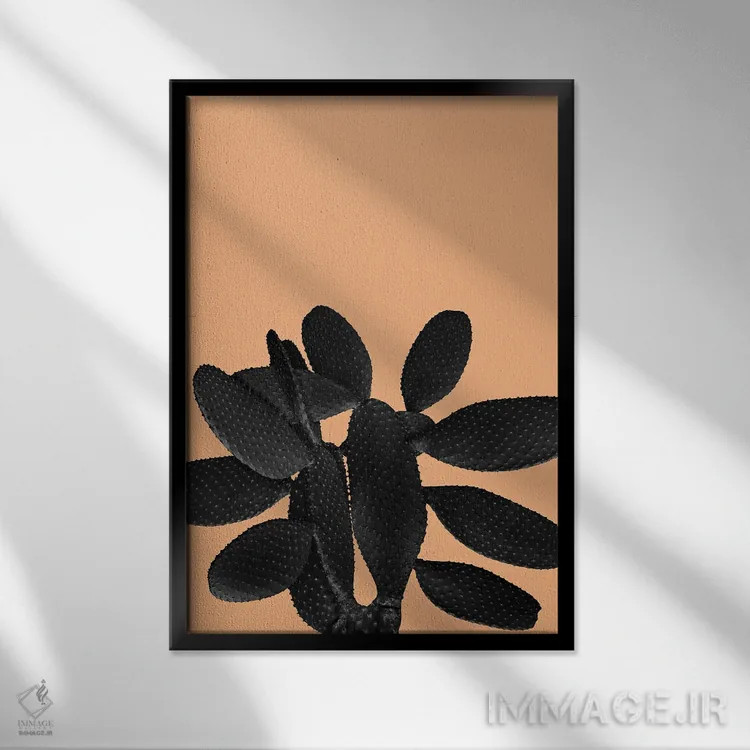 تابلو حال و هوای کاکتوس سیاه و نارنجی پاستلی یک اثر هنر آنیتا و بلا - نمای قابدار مشکی