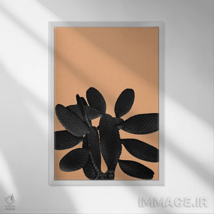 تابلو حال و هوای کاکتوس سیاه و نارنجی پاستلی یک اثر هنر آنیتا و بلا - نمای قابدار سفید