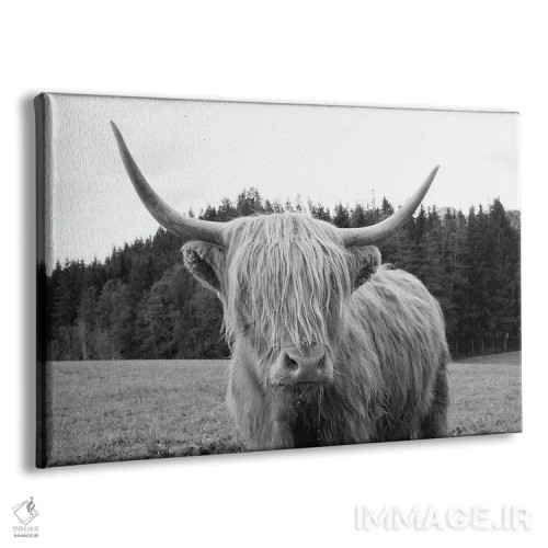 تابلو گاو کوهی ششم اثر هنر آنیتا و بلا - نمای پرسپکتیو محصول