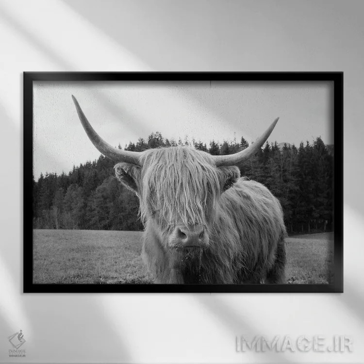 تابلو گاو کوهی ششم اثر هنر آنیتا و بلا - نمای قابدار مشکی