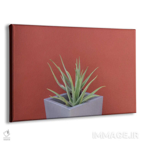 تابلو آلوئه ورا در گلدان اثر هنر آنیتا و بلا - نمای پرسپکتیو محصول