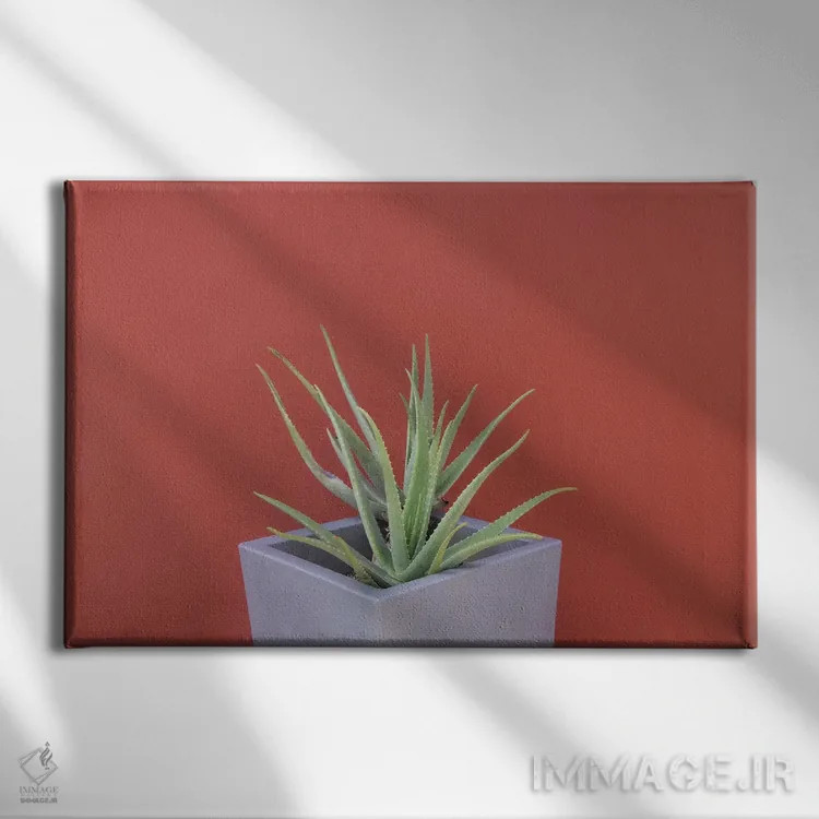 تابلو آلوئه ورا در گلدان اثر هنر آنیتا و بلا - نمای روبهرو روی دیوار