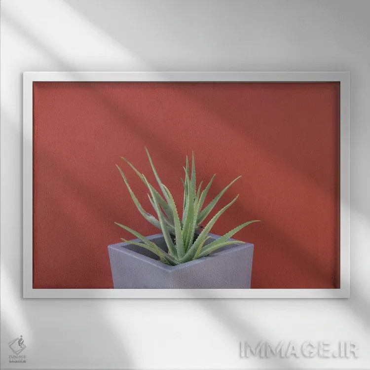 تابلو آلوئه ورا در گلدان اثر هنر آنیتا و بلا - نمای قابدار سفید