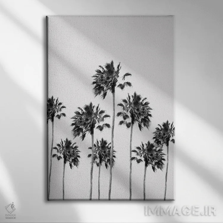 تابلو ظرافت نخلهای سیاه و سفید یک اثر هنر آنیتا و بلا - نمای روبهرو روی دیوار