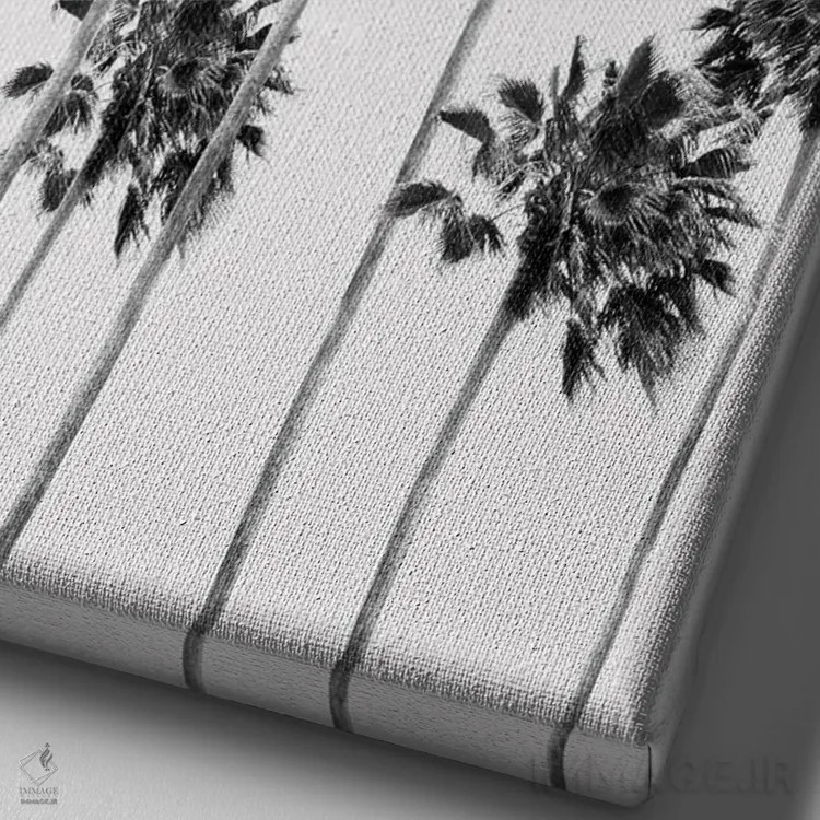 تابلو ظرافت نخلهای سیاه و سفید یک اثر هنر آنیتا و بلا - نمای نزدیک بافت بوم