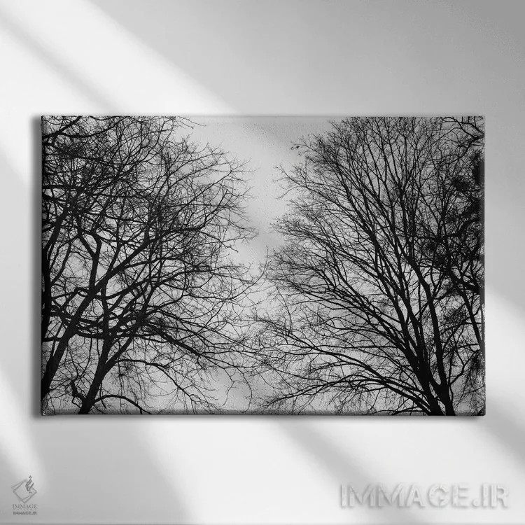 تابلو سایهنماهای درختان اثر هنر آنیتا و بلا - نمای روبهرو روی دیوار