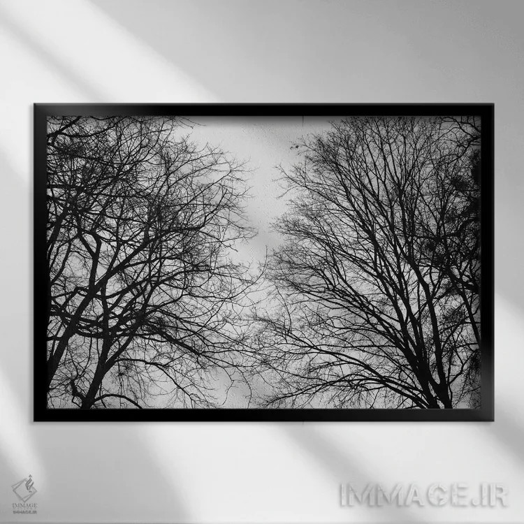 تابلو سایهنماهای درختان اثر هنر آنیتا و بلا - نمای قابدار مشکی