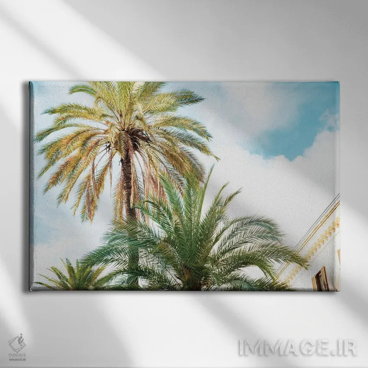 تابلو رم زیبا اثر هنر آنیتا و بلا - نمای روبهرو روی دیوار