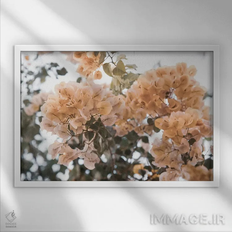 تابلو رویای گل کاغذی اثر هنر آنیتا و بلا - نمای قابدار سفید