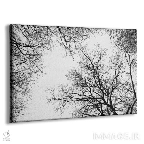 تابلو سایهنماهای درختان برفی اثر هنر آنیتا و بلا - نمای پرسپکتیو محصول