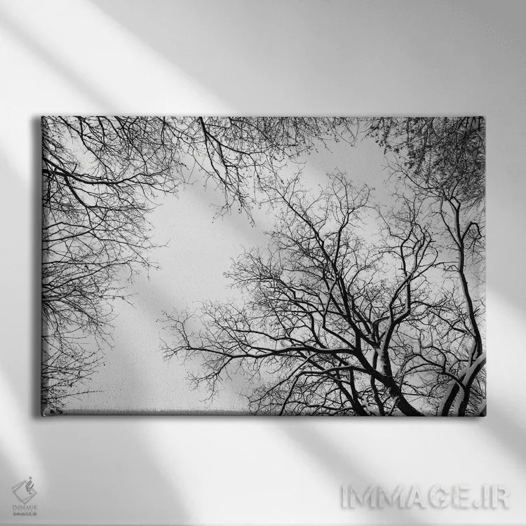 تابلو سایهنماهای درختان برفی اثر هنر آنیتا و بلا - نمای روبهرو روی دیوار