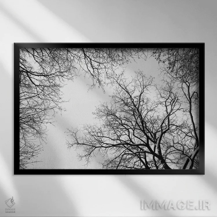 تابلو سایهنماهای درختان برفی اثر هنر آنیتا و بلا - نمای قابدار مشکی