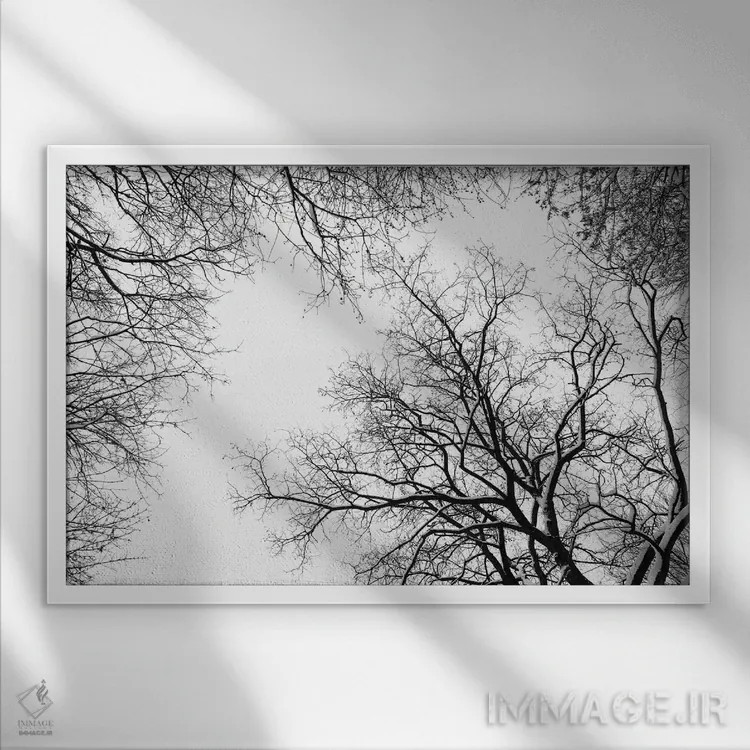 تابلو سایهنماهای درختان برفی اثر هنر آنیتا و بلا - نمای قابدار سفید