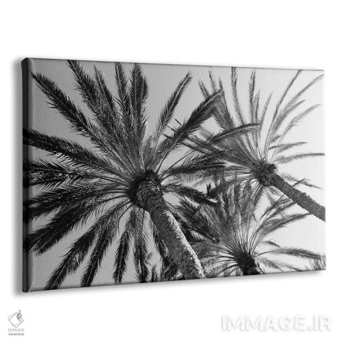 تابلو آرامش نخلها دوم اثر هنر آنیتا و بلا - نمای پرسپکتیو محصول