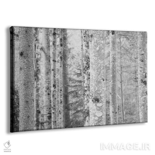 تابلو جنگل افسانهای دوم اثر هنر آنیتا و بلا - نمای پرسپکتیو محصول