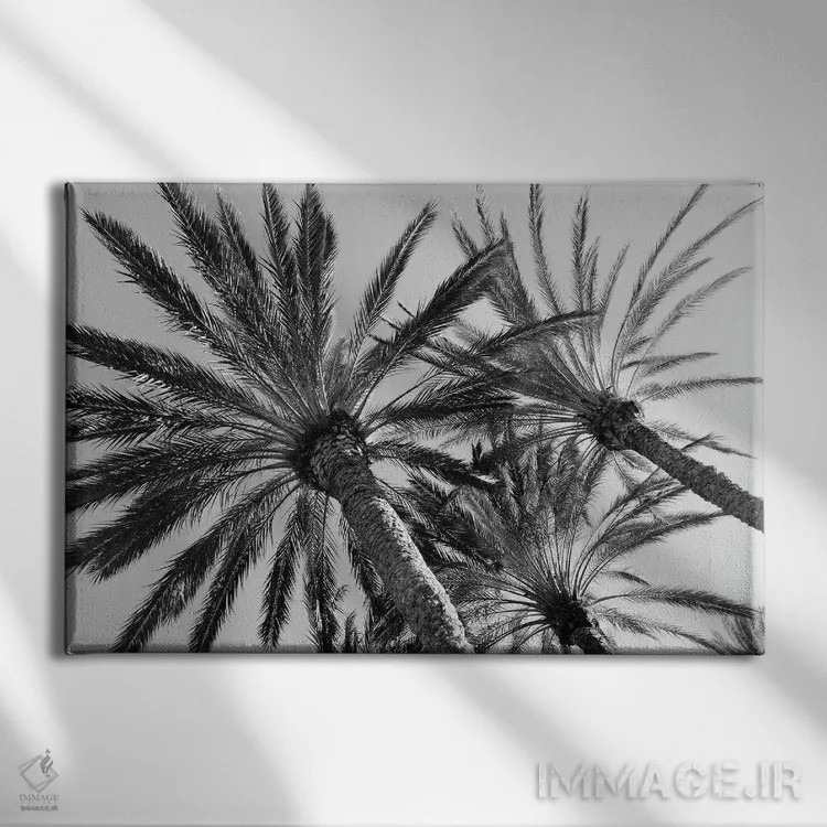 تابلو آرامش نخلها دوم اثر هنر آنیتا و بلا - نمای روبهرو روی دیوار