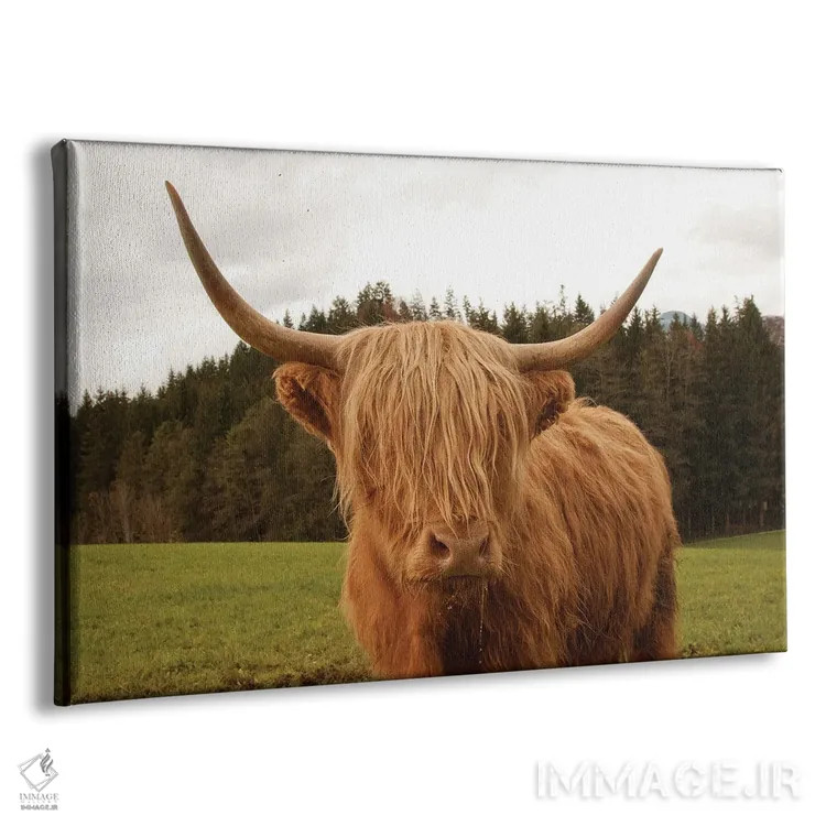 تابلو گاو کوهی هفتم اثر هنر آنیتا و بلا - نمای پرسپکتیو محصول