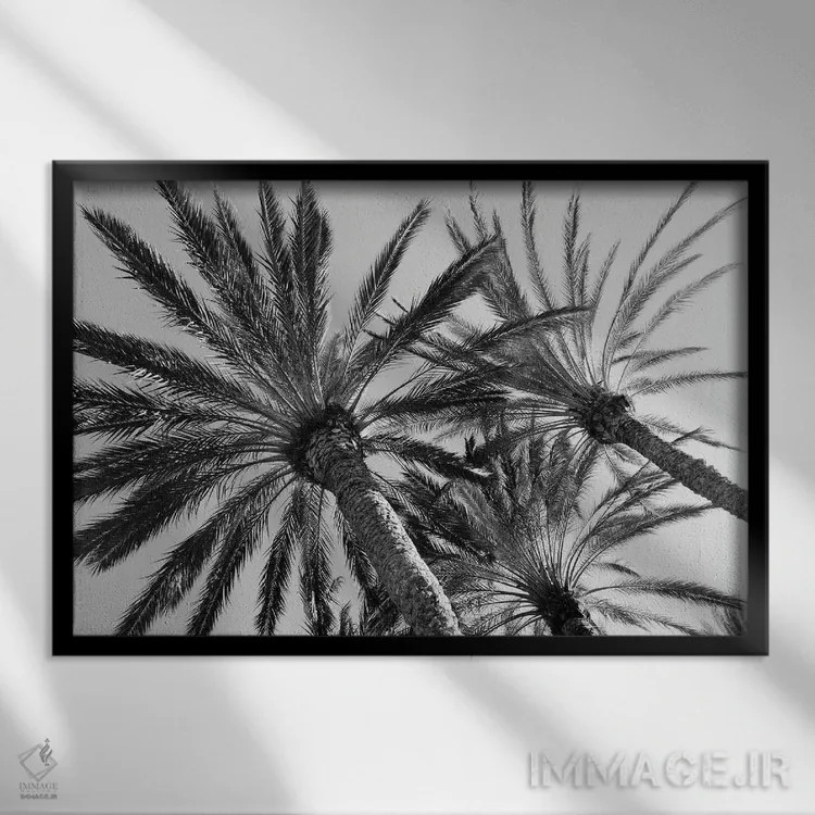 تابلو آرامش نخلها دوم اثر هنر آنیتا و بلا - نمای قابدار مشکی