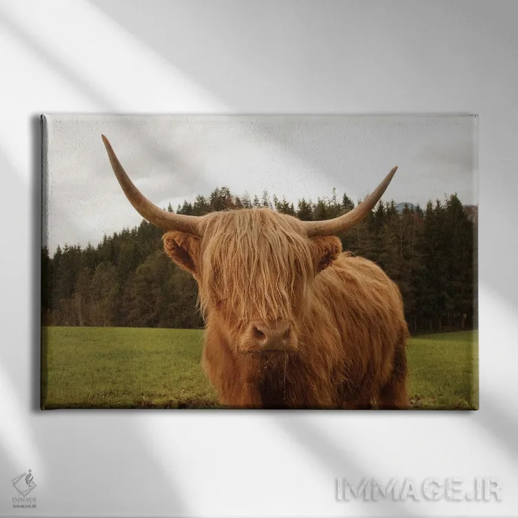 تابلو گاو کوهی هفتم اثر هنر آنیتا و بلا - نمای روبهرو روی دیوار