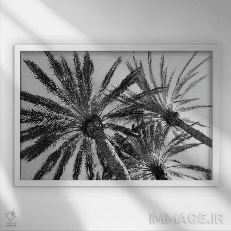 تابلو آرامش نخلها دوم اثر هنر آنیتا و بلا - نمای قابدار سفید