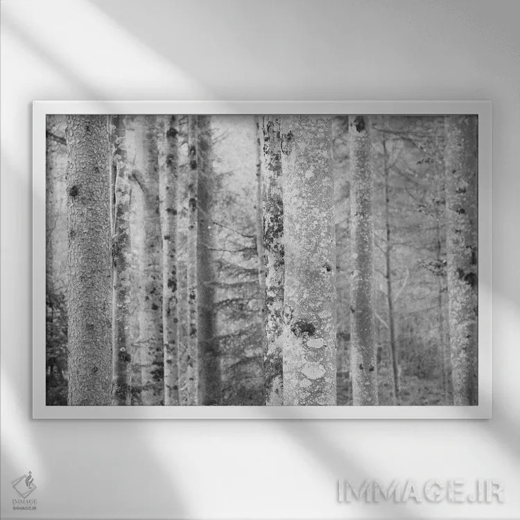 تابلو جنگل افسانهای دوم اثر هنر آنیتا و بلا - نمای قابدار سفید