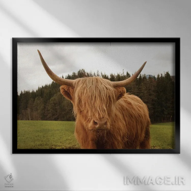 تابلو گاو کوهی هفتم اثر هنر آنیتا و بلا - نمای قابدار مشکی